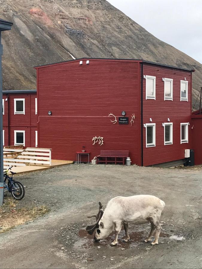 Haugen Pensjonat Svalbard Longyearbyen Buitenkant foto
